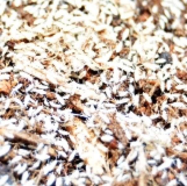 Preview: Springschwänze - BIOACTIVE Helfer